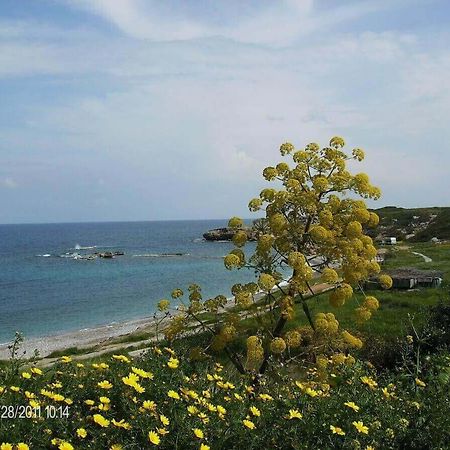 Marina Apartment B 16 - Tatlisu Trnc Akanthou ภายนอก รูปภาพ